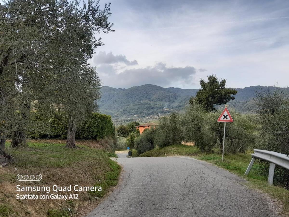 Ferienwohnung La Casa Di Debby Parcheggio Wi-Fi , Aria Condizionata Gratuiti Capannori Exterior foto